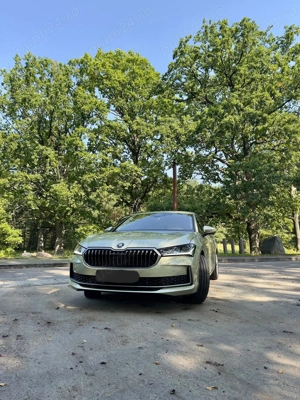 Skoda superb 2.0 TSI 4X4 265CP  - imagine 2