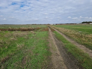  Teren intravilan clinceni-stadion, strada molidului, 615 mp - imagine 6
