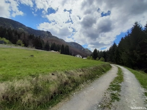 teren 950mp cascada Pisoaia Vidra - imagine 2