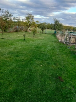 De vânzare casă în comuna Valea Vinului sat Sâi - imagine 6 De vânzare casă în comuna Valea Vinului sat Sâi - imagine 6