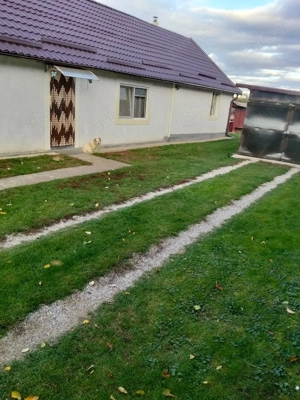 De vânzare casă în comuna Valea Vinului sat Sâi - imagine 5 De vânzare casă în comuna Valea Vinului sat Sâi - imagine 5