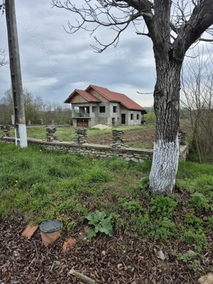 Casa se vanzare, comuna Balesti, sat Cornesti - imagine 6