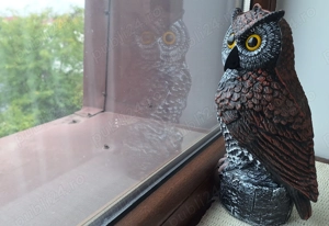 Sperietoare ciori si porumbei - imagine 2