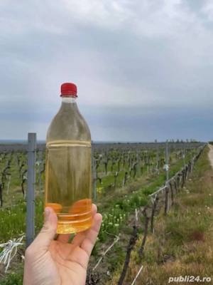 Vin vrac si bag in box 