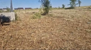 Teren Albota (Pitesti Arges)- 846 metri patrati