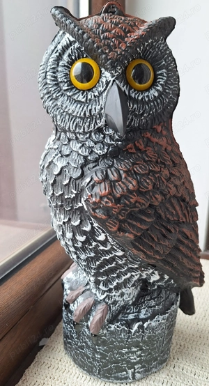 Sperietoare ciori si porumbei