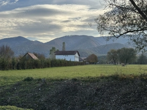 Teren intravilan Tocile Sadu 2000 mp