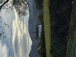 Teren intravilan Tocile Sadu 2000 mp - imagine 4