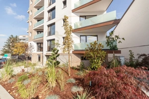 Spațiu Comercial Central – 2 Locuri de Parcare–Parter bloc 2025-Open Space - imagine 5