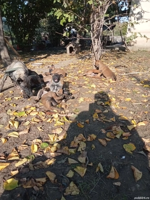 Disponibili - imagine 2 Disponibili - imagine 2