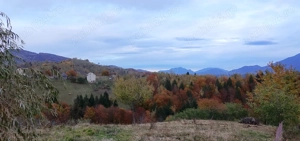 Intravilan 2000 mp sat Pestera, jud Brasov, comision 0%