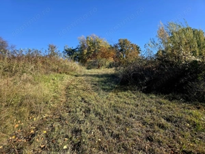 Casă / Vilă cu 5 camere de vânzare - imagine 8