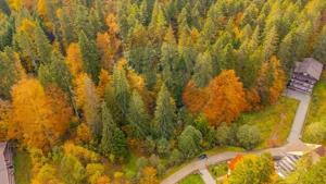 Comision 0 | Teren intravilan de vânzare – Predeal, Brașov 908 mp - imagine 7