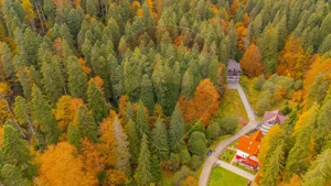 Comision 0 | Teren intravilan de vânzare – Predeal, Brașov 908 mp - imagine 9