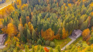 Comision 0 | Teren intravilan de vânzare – Predeal, Brașov 908 mp - imagine 8