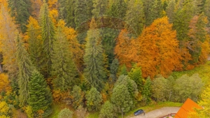 Comision 0 | Teren intravilan de vânzare – Predeal, Brașov 908 mp - imagine 6