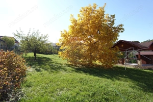 Casă cu 6 camere, de vânzare, în Baia Sprie - imagine 6