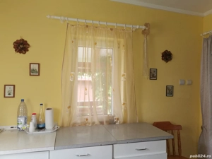 Casa de vanzare, 43 ari teren, Horodnic de jos - Suceava  - imagine 3