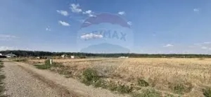 Teren intravilan 3,261mp Balotesti / Strada Rozelor - imagine 2