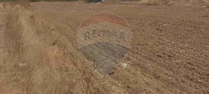 Teren intravilan 3,261mp Balotesti / Strada Rozelor - imagine 3