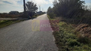 Teren la Asfalt cu utilități alături (Curent & Gaz) lângă București - imagine 18