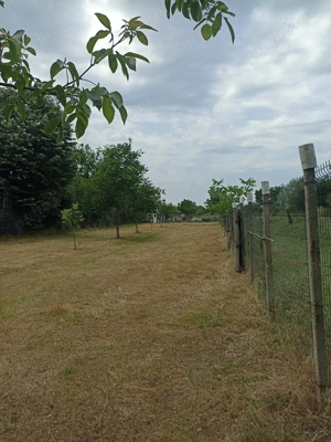 Vând teren 1000mp în Ștefănești  str Salcâmilor  - imagine 3
