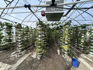 De vanzare-afacere la cheie