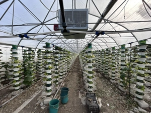 De vanzare-afacere la cheie - imagine 4