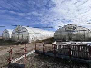 De vanzare-afacere la cheie - imagine 7