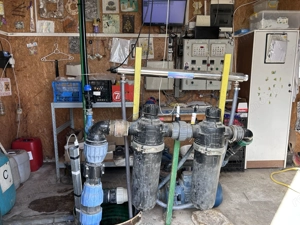 De vanzare-afacere la cheie - imagine 8