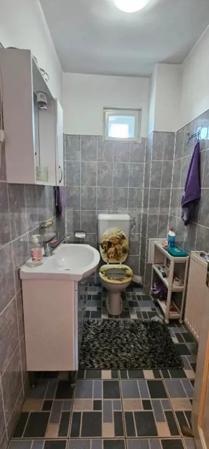 CASA CU 6 CAMERE, 293 MP UTILI SI GARAJ - DEVA  - imagine 10