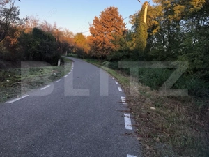 Casa bătrânească, 1500 mp teren, comuna Pomi - imagine 2