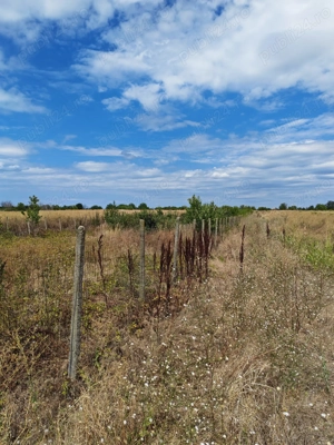 Teren intravilan Vidra Ilfov  - imagine 8