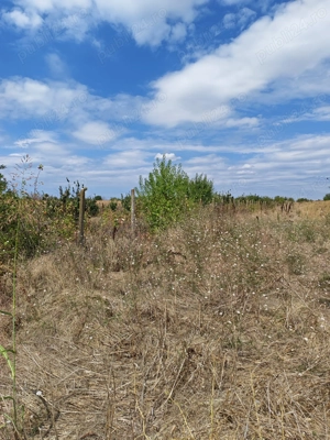 Teren intravilan Vidra Ilfov  - imagine 9