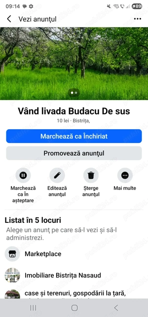 Vând livada 19 arii Budacu de Sus