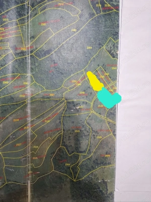 Vând 2 parcele de 4265 mp 2804 mp extravilan Transapuseana, sat Măcărești - imagine 5