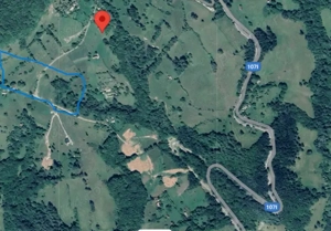 Vând 2 parcele de 4265 mp 2804 mp extravilan Transapuseana, sat Măcărești - imagine 6