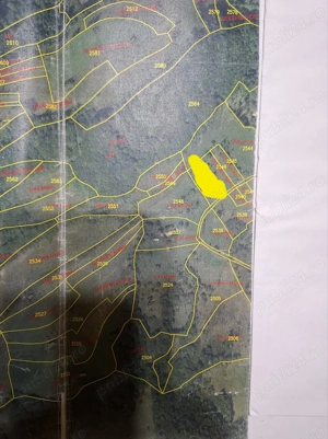 Vând 2 parcele de 4265 mp 2804 mp extravilan Transapuseana, sat Măcărești - imagine 9