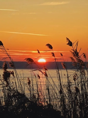 # Vand Teren Intravilan (700mp), in EFORIE SUD - Judetul CONSTANTA, Situat FIX pe Malul Lacului - imagine 10