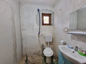 Resita Casa cu Teren privat 4670 Mp. - imagine 8