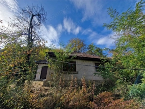 Resita Casa cu Teren privat 4670 Mp. - imagine 15