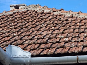 Resita Casa cu Teren privat 4670 Mp. - imagine 14