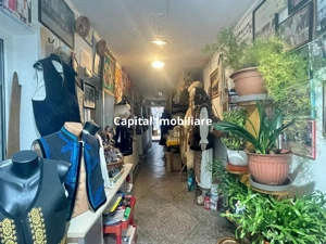 Casa cu garaj in Calnic, 231 mp construiti - imagine 11