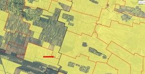 Cota de 1/4 din teren loc. Amarastii de Jos, Jud Dolj - imagine 7 Cota de 1/4 din teren loc. Amarastii de Jos, Jud Dolj - imagine 7