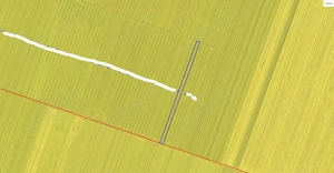 Cota de 1/4 din teren loc. Amarastii de Jos, Jud Dolj - imagine 3 Cota de 1/4 din teren loc. Amarastii de Jos, Jud Dolj - imagine 3