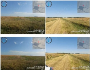 Cota de 1/4 din teren loc. Amarastii de Jos, Jud Dolj - imagine 2 Cota de 1/4 din teren loc. Amarastii de Jos, Jud Dolj - imagine 2