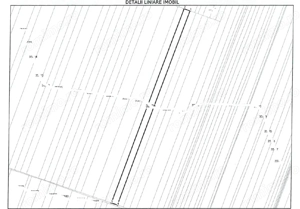 Cota de 1/4 din teren loc. Amarastii de Jos, Jud Dolj - imagine 4 Cota de 1/4 din teren loc. Amarastii de Jos, Jud Dolj - imagine 4