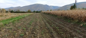 Teren extravilan Clopotiva