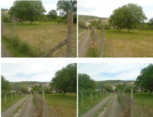 Teren intravilan loc. Brosteni, judetul Vrancea - imagine 6