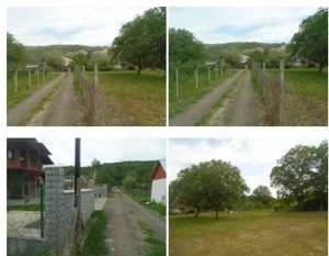 Teren intravilan loc. Brosteni, judetul Vrancea - imagine 7